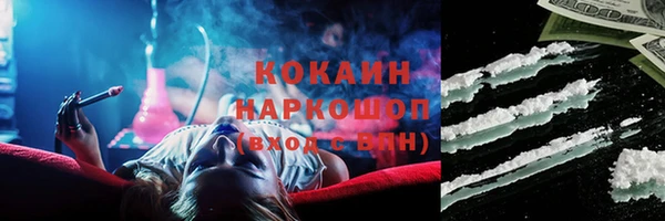 мет Алексин