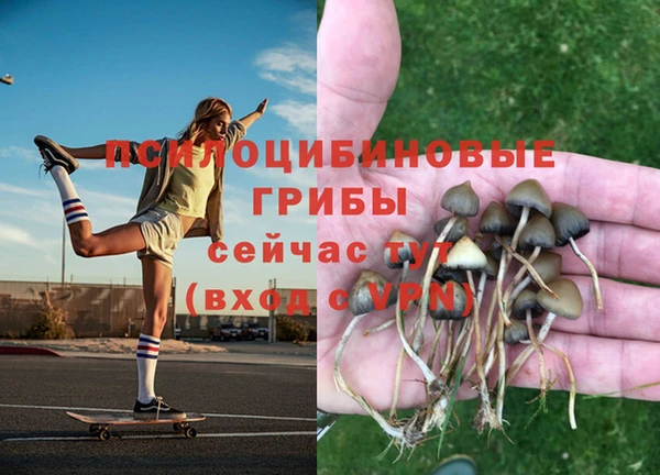jwh Алексеевка