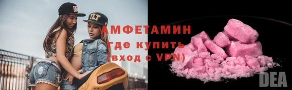 мет Алексин