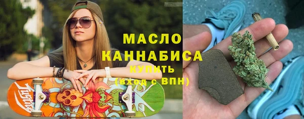 мет Алексин