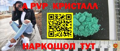 гашик Будённовск
