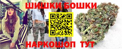 гашик Будённовск