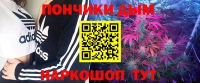 гашик Будённовск